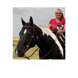 Meet your Posher, Louise